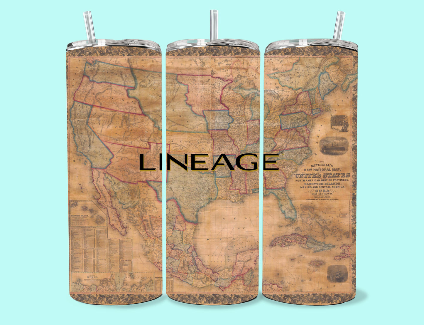 20 oz Skinny Tumbler Grand Design Lineage Lovey Makes It Lineage on 1865 North America Map No Name Horizontal <- ->